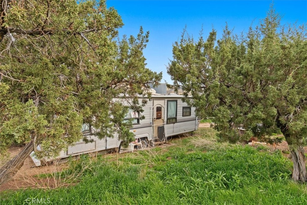 32301 Angeles Forest Property Photo 17