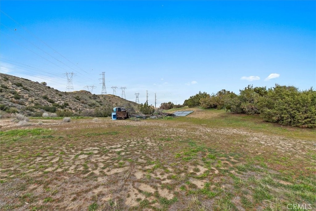 32301 Angeles Forest Property Photo 18