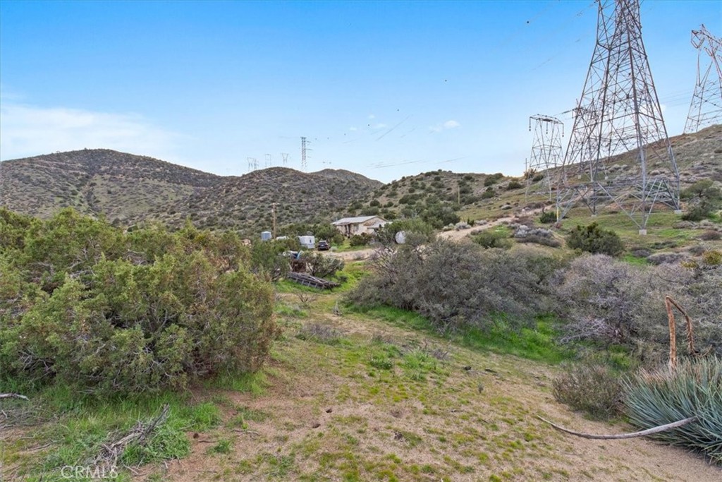 32301 Angeles Forest Property Photo 19
