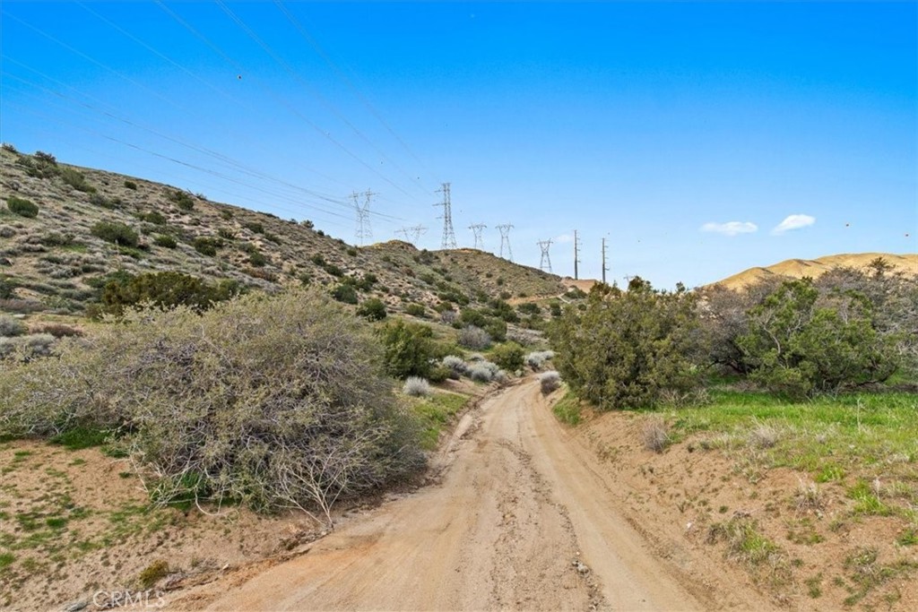 32301 Angeles Forest Property Photo 20