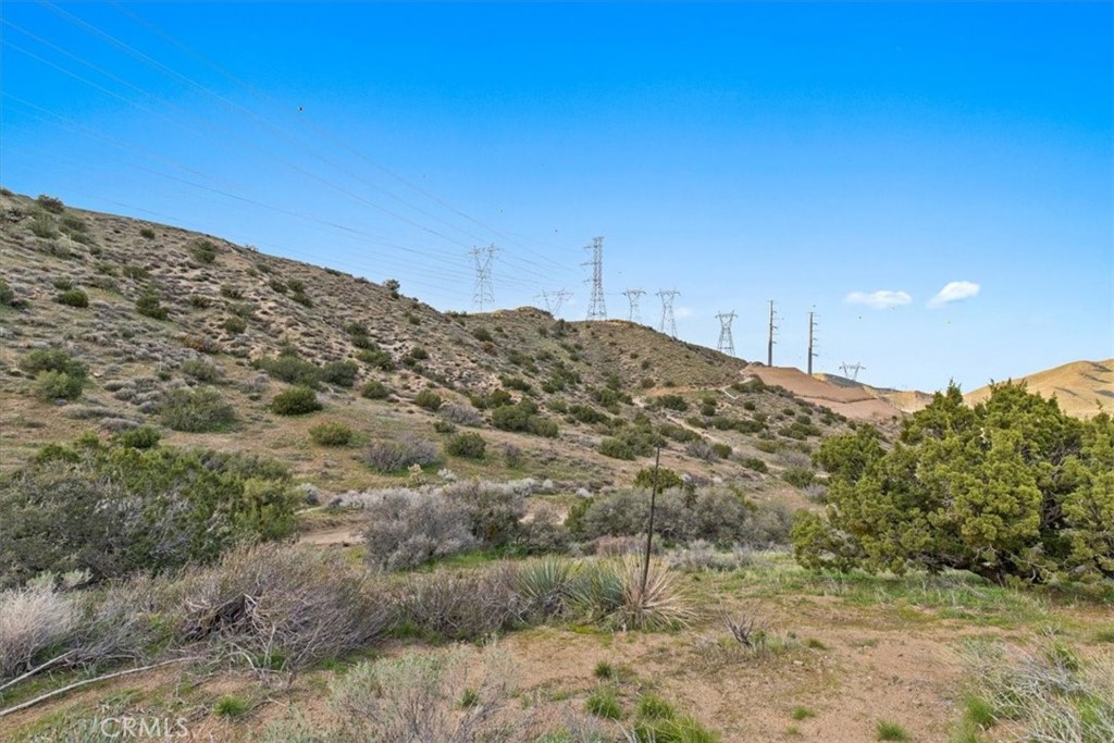 32301 Angeles Forest Property Photo 21