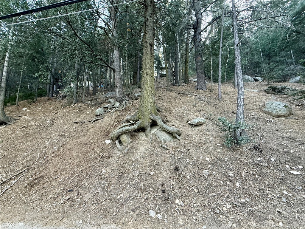 0 Scenic View Property Photo 1