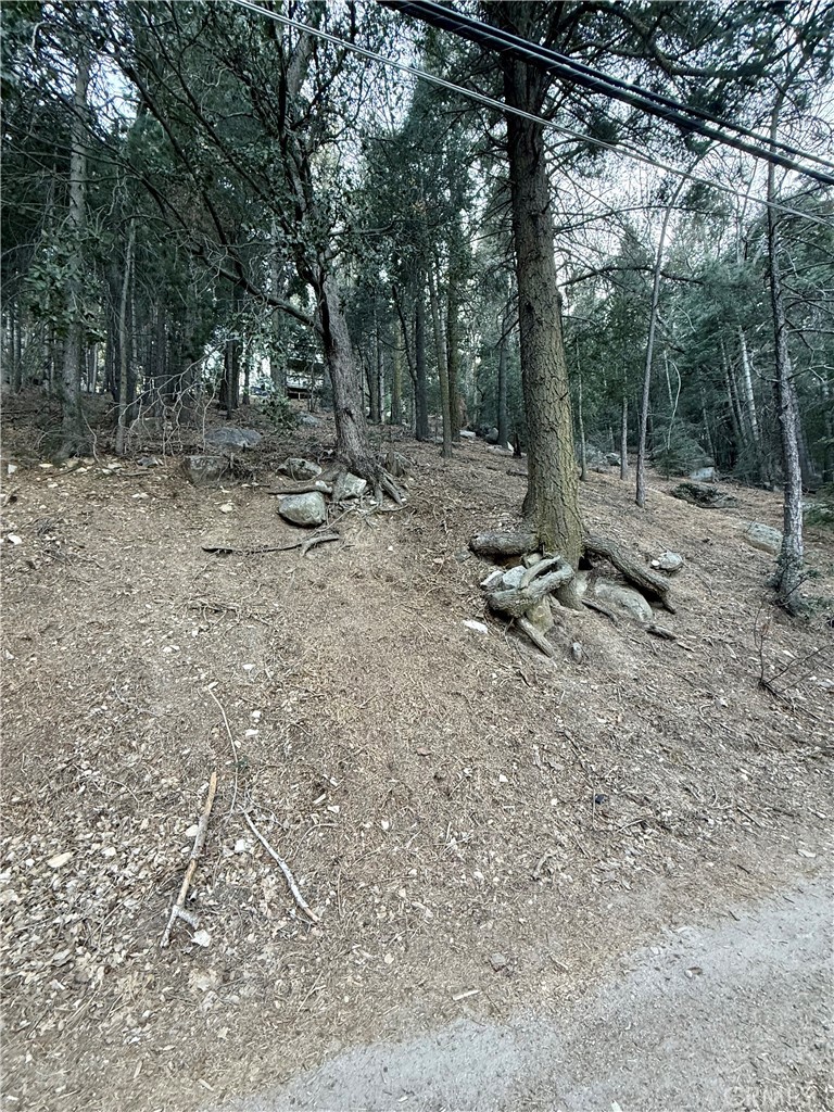 0 Scenic View Property Photo 3