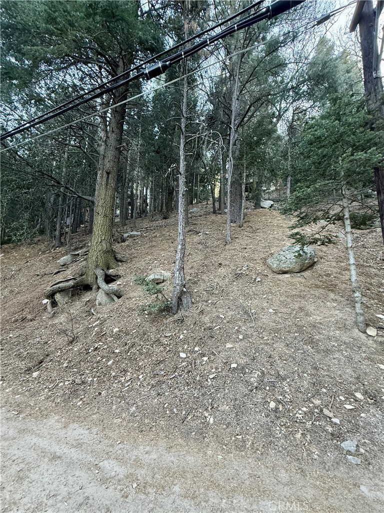 0 Scenic View Property Photo 4