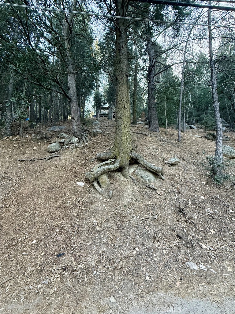 0 Scenic View Property Photo 5