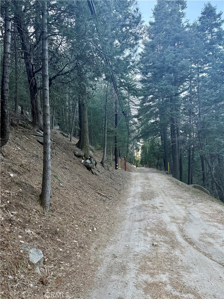 0 Scenic View Property Photo 6