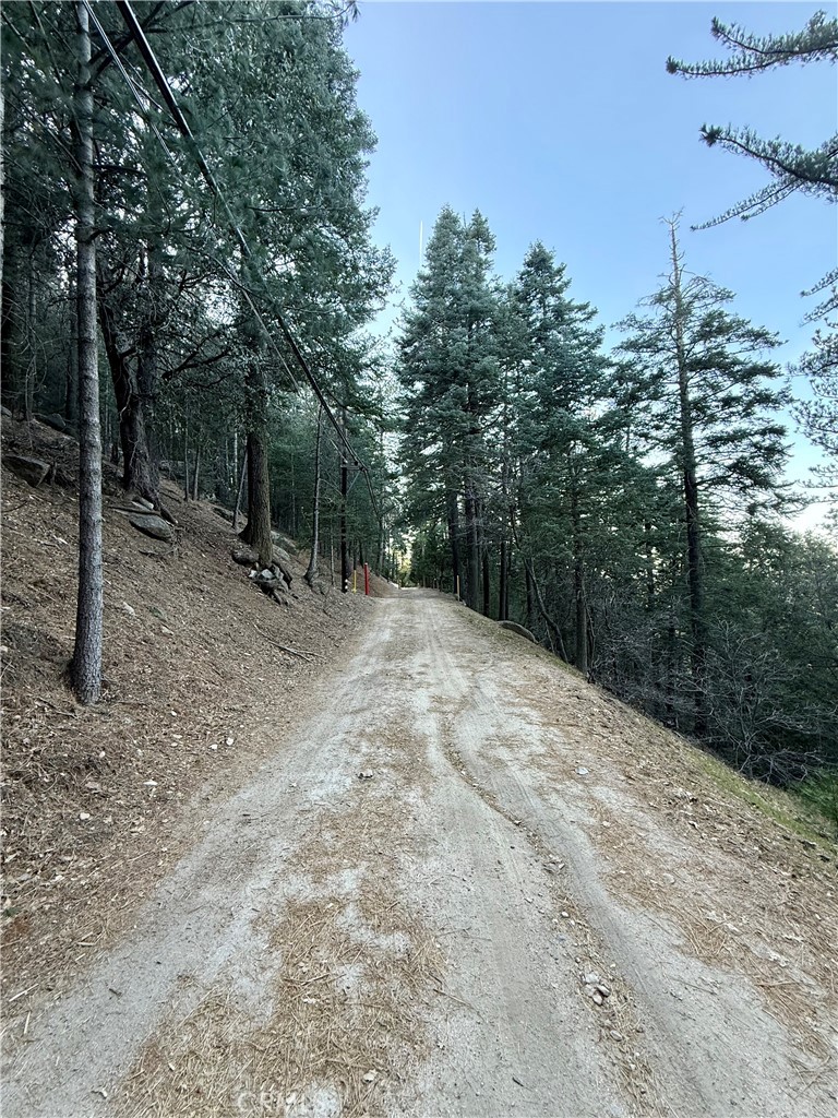 0 Scenic View Property Photo 7
