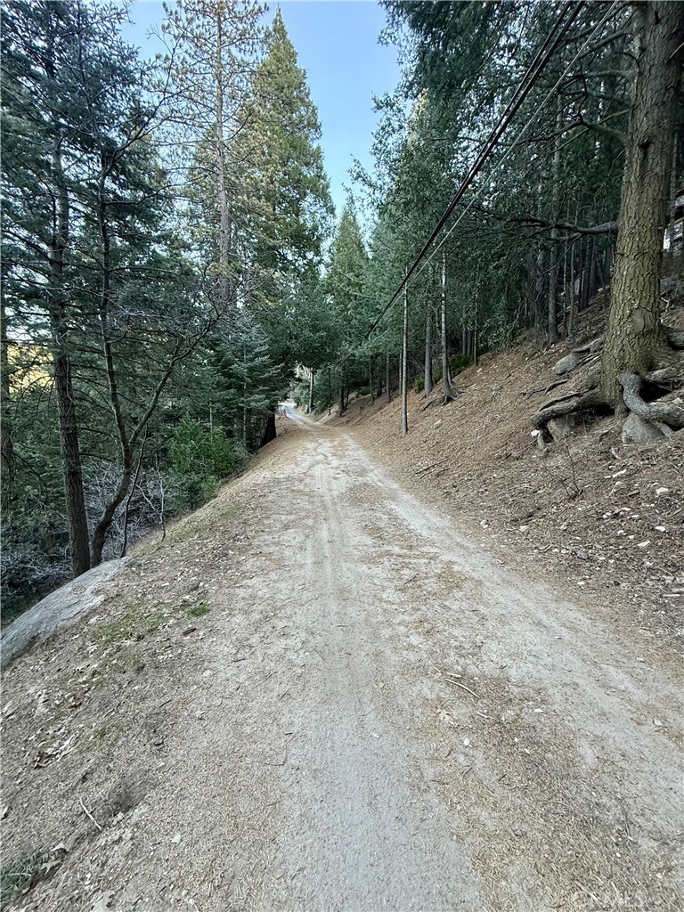 0 Scenic View Property Photo 9