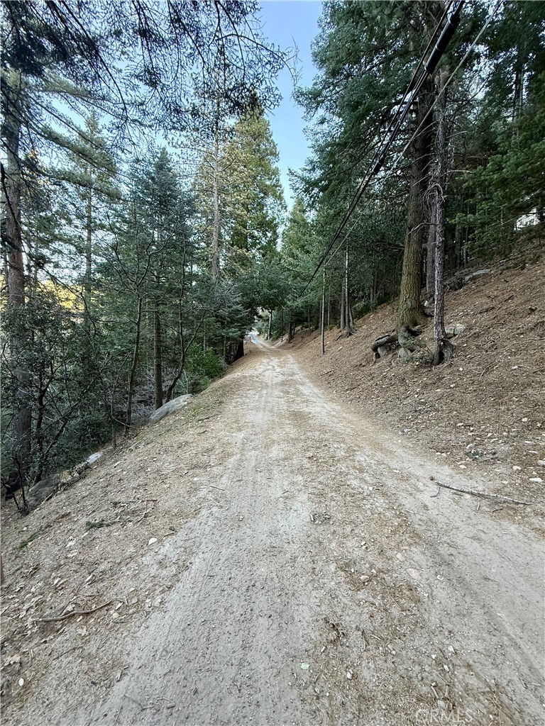 0 Scenic View Property Photo 10