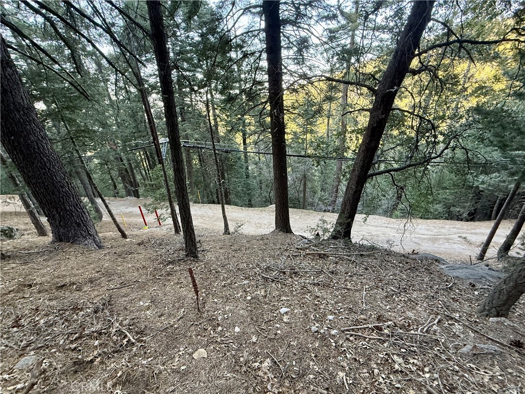0 Scenic View Property Photo 12