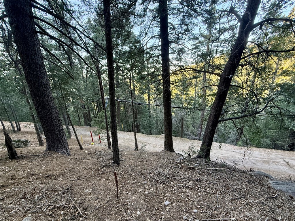 0 Scenic View Property Photo 13