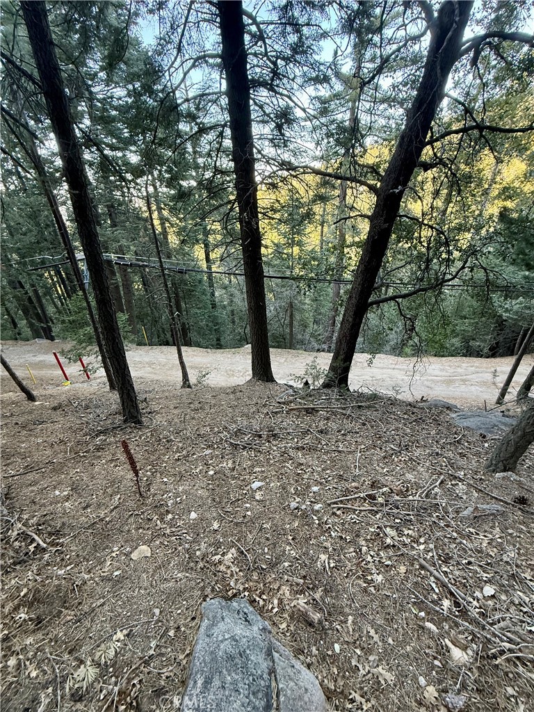 0 Scenic View Property Photo 14