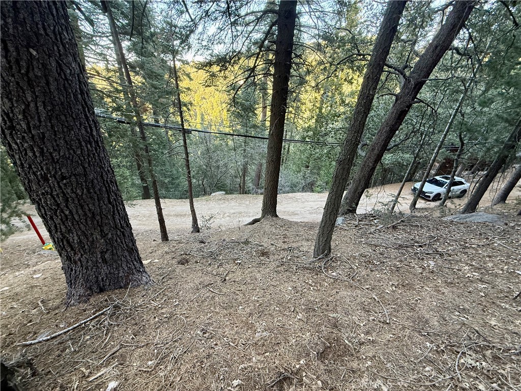 0 Scenic View Property Photo 15