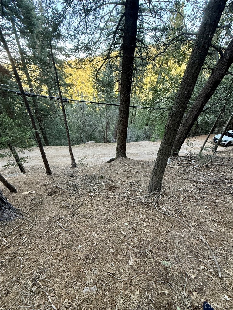 0 Scenic View Property Photo 16