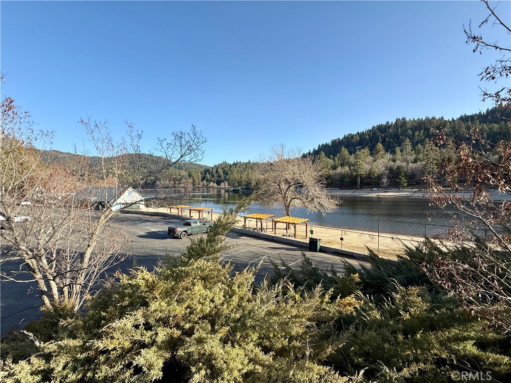 0 Scenic View Property Photo 22