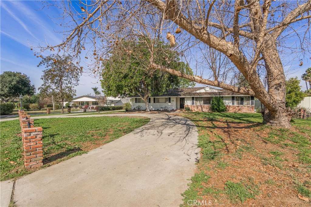 751 S Corrida Property Photo 4