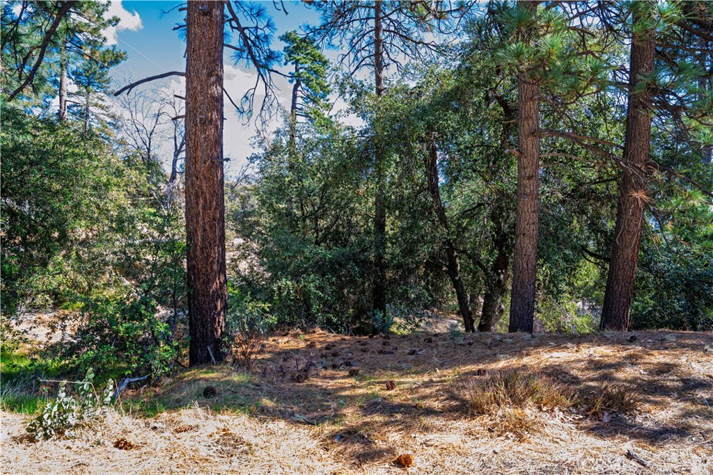 1 Mountain View Drive Property Photo 11