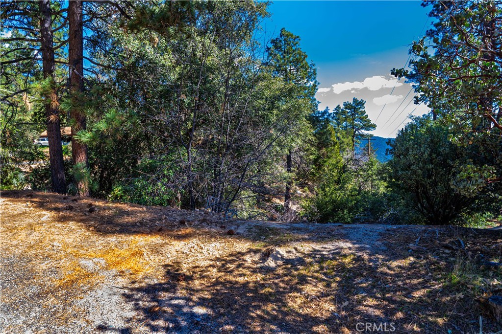 1 Mountain View Drive Property Photo 14