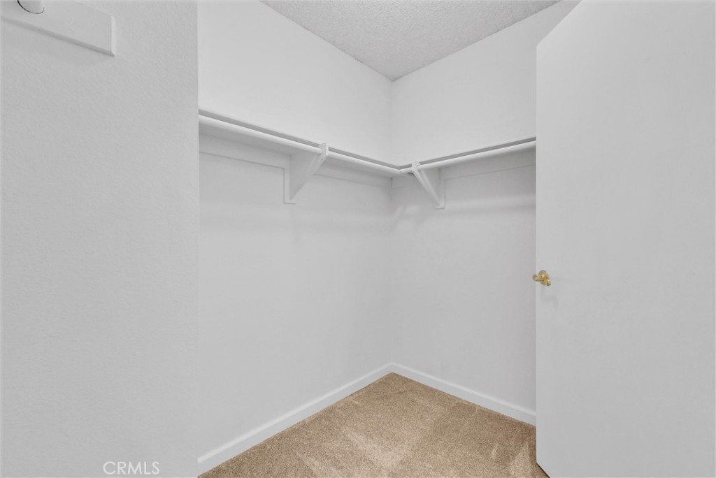 538 Derby Property Photo 18