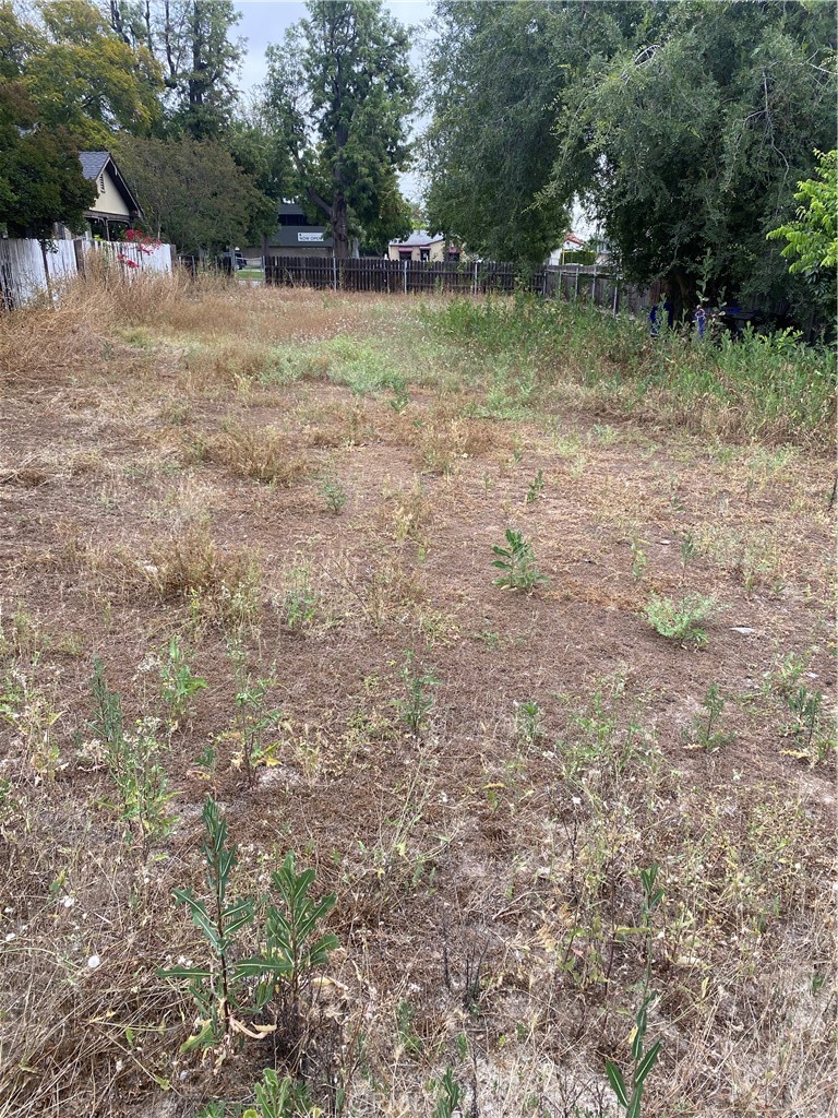 345 Euclid Property Photo 1
