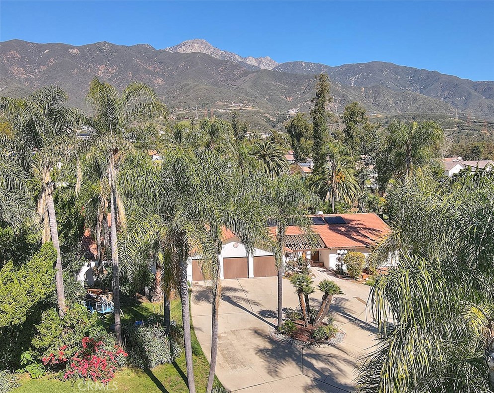 9828 Flying Mane Property Photo 12