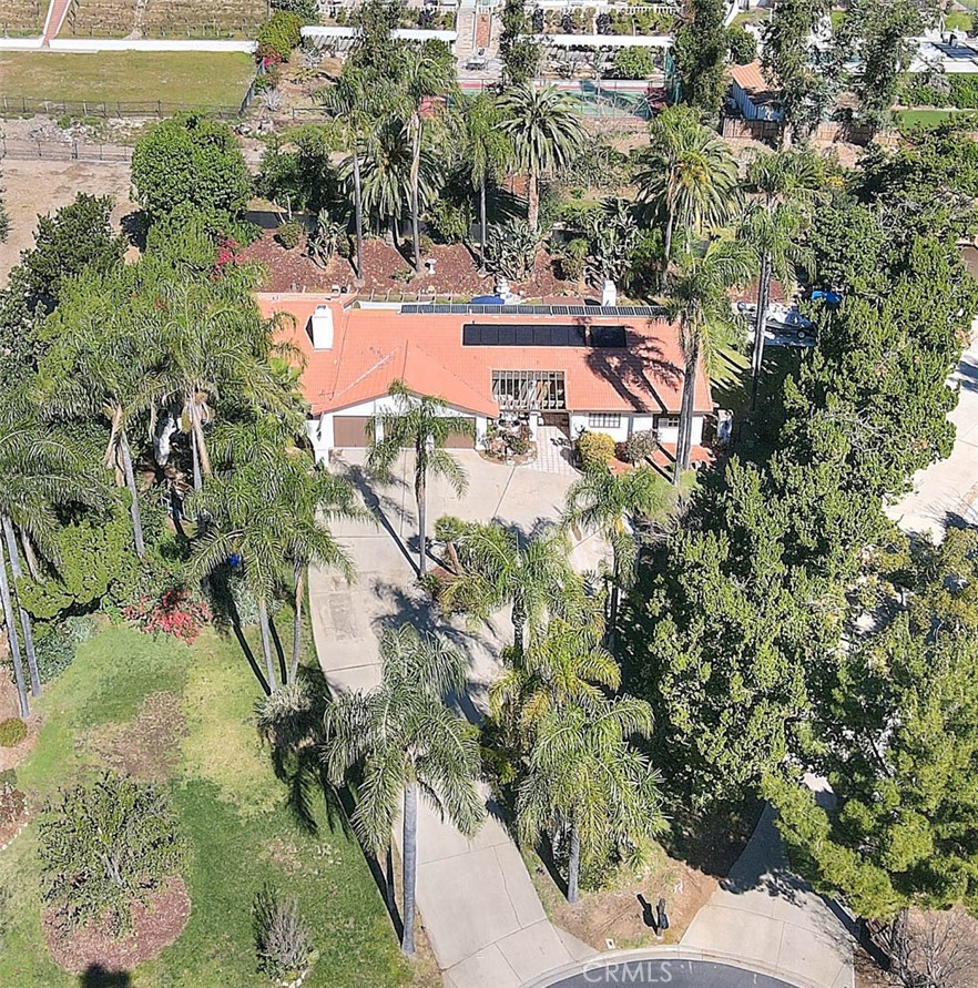 9828 Flying Mane Property Photo 13
