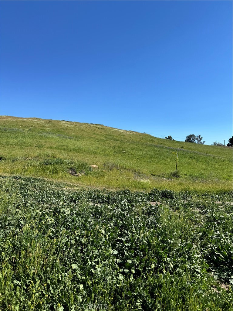 0 Vacant Land Property Photo 4