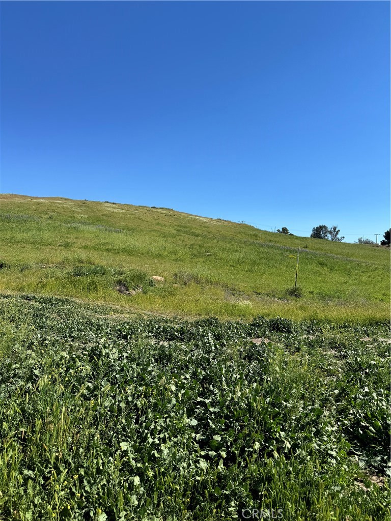 0 Vacant Land Property Photo 4