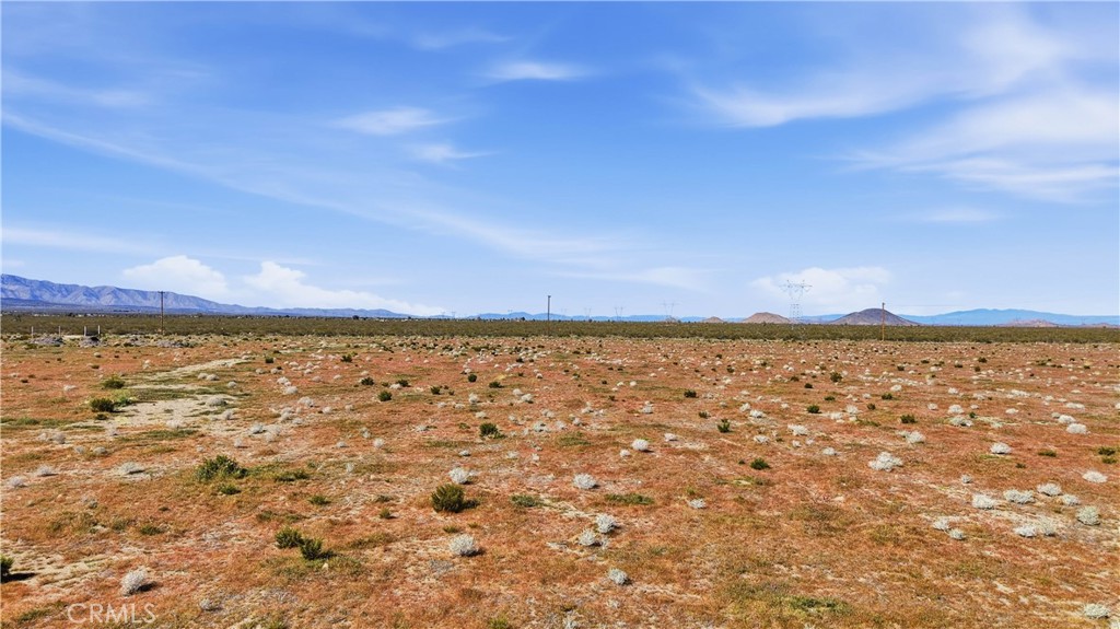 14765 Oasis Property Photo 3