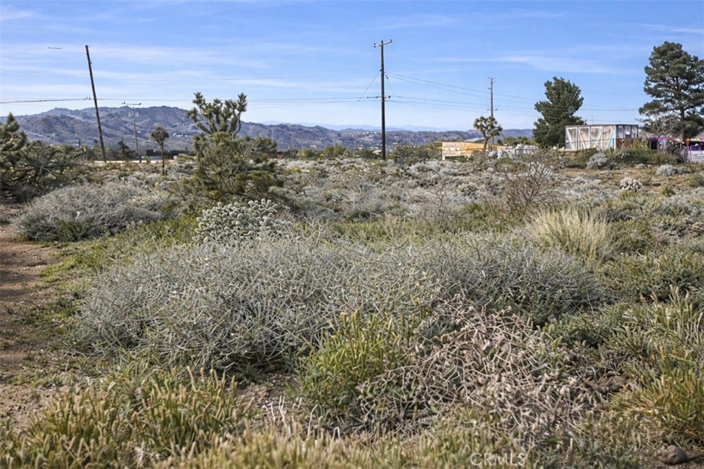 0 Natoma Trail Property Photo 3