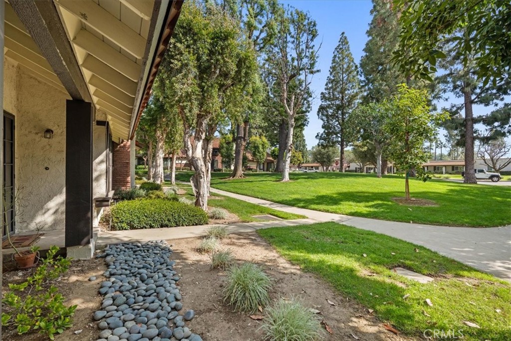 206 San Luis Rey Property Photo 8