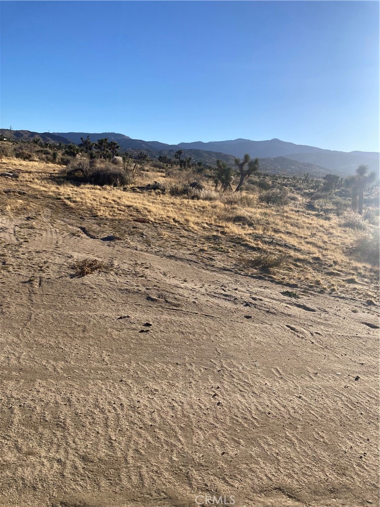 1 White Fox Trail Property Photo 1