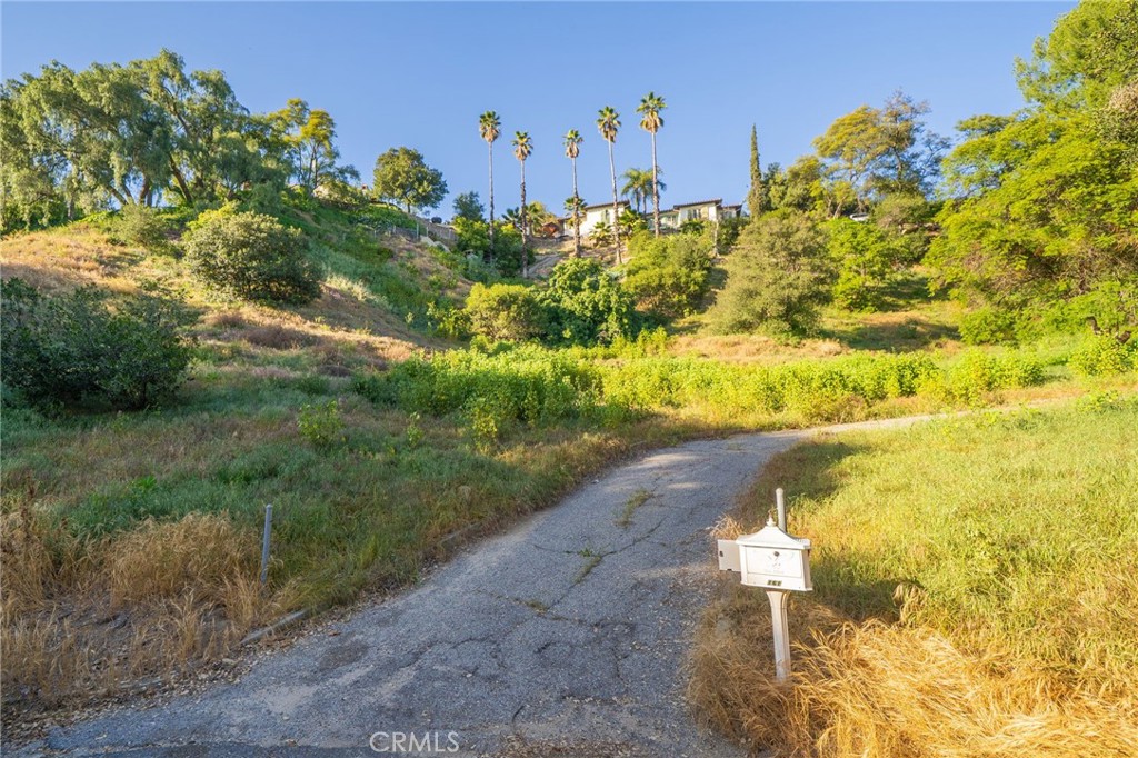 0 Sycamore Place Property Photo 7