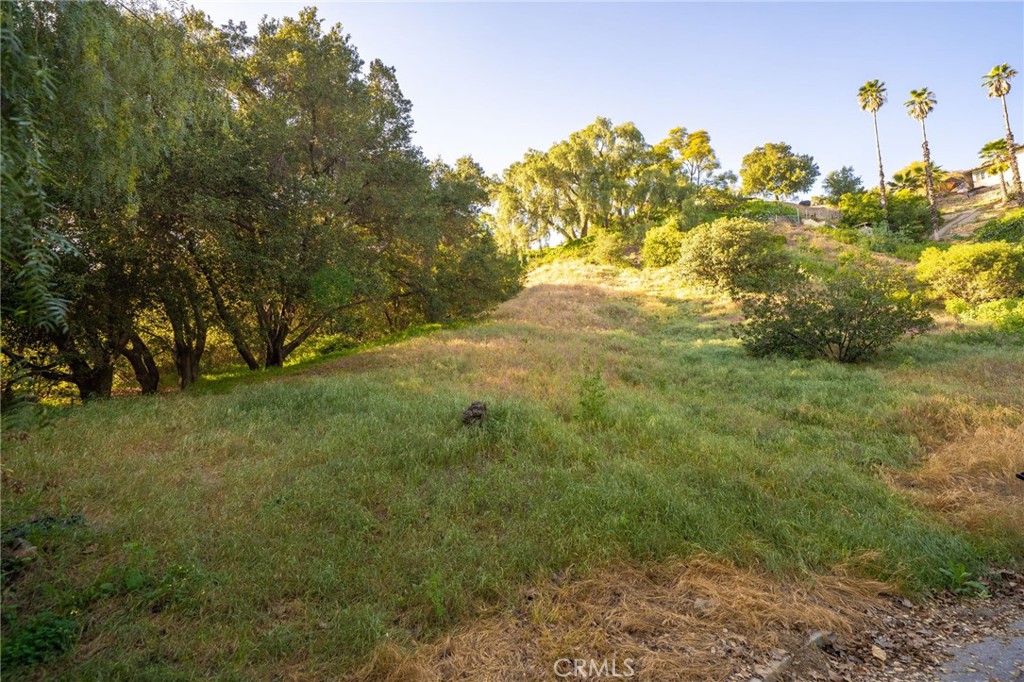0 Sycamore Place Property Photo 25