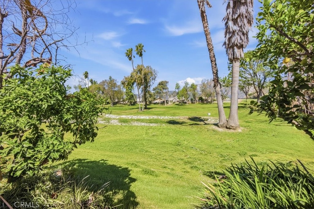 1015 Pebble Beach Property Photo 32