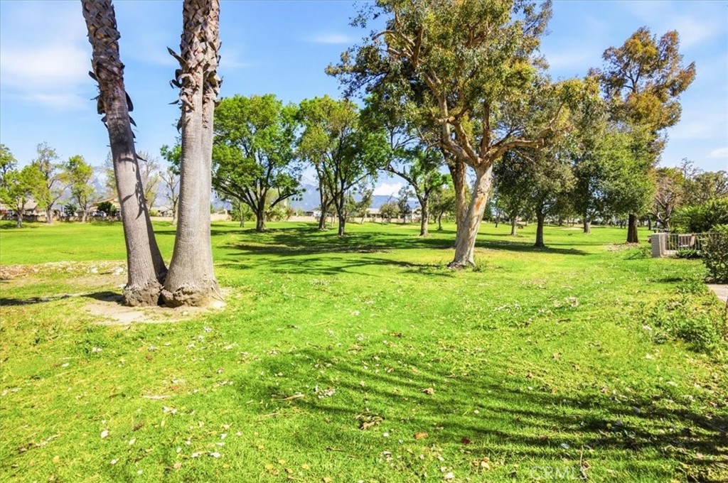 1015 Pebble Beach Property Photo 40