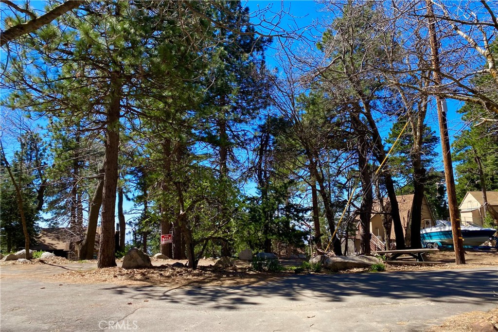 0 Lakeview Drive Property Photo 4