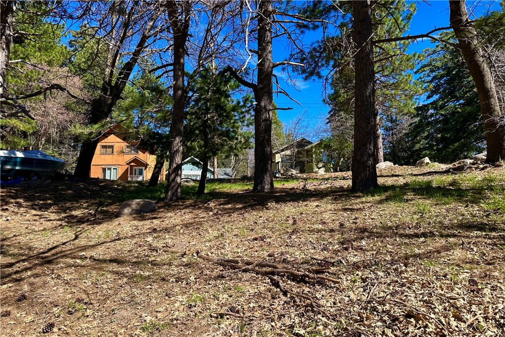 0 Lakeview Drive Property Photo 8