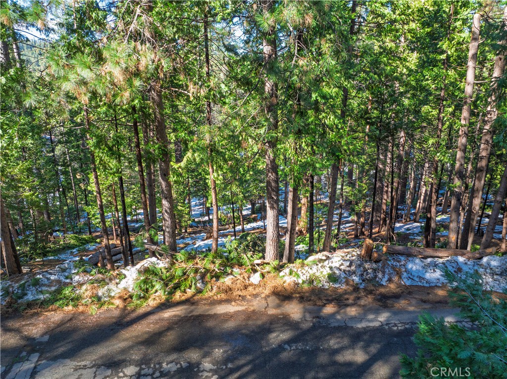 1803 Evergreen Property Photo 1