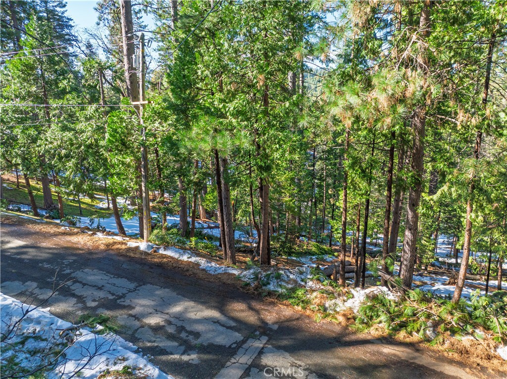 1803 Evergreen Property Photo 2