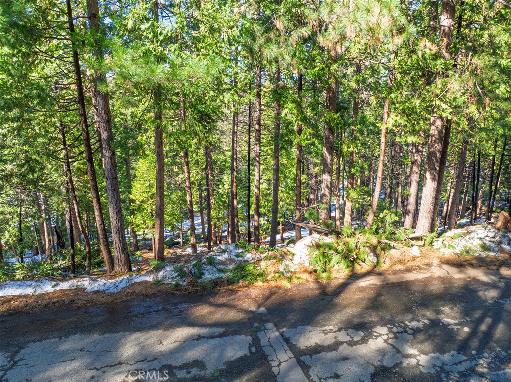 1803 Evergreen Property Photo 3