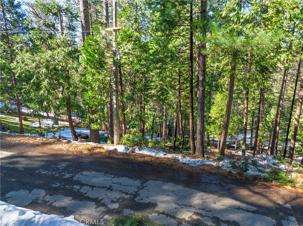 1803 Evergreen Property Photo 4