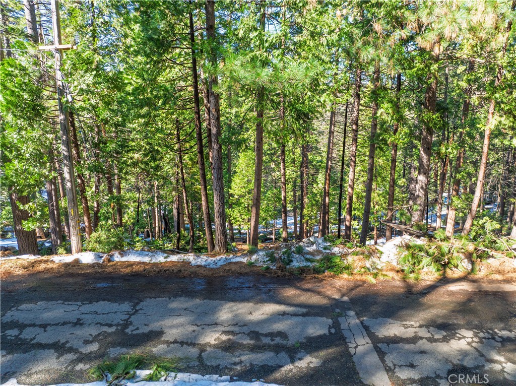 1803 Evergreen Property Photo 5