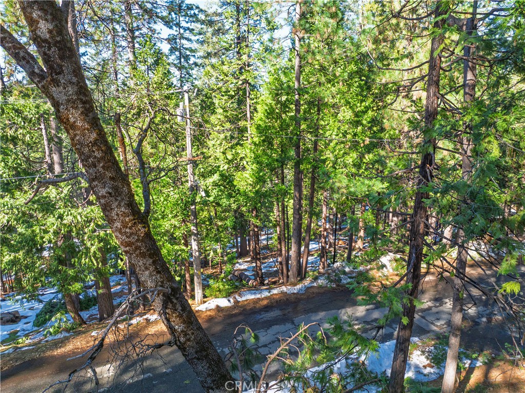 1803 Evergreen Property Photo 6