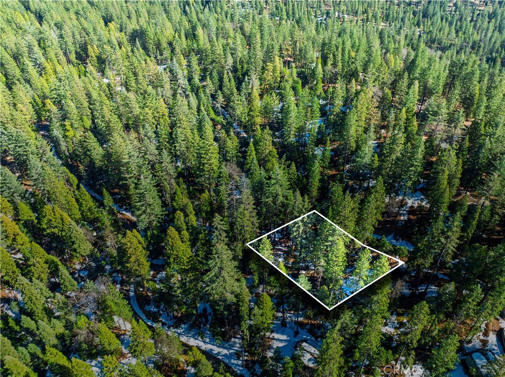 1803 Evergreen Property Photo 7