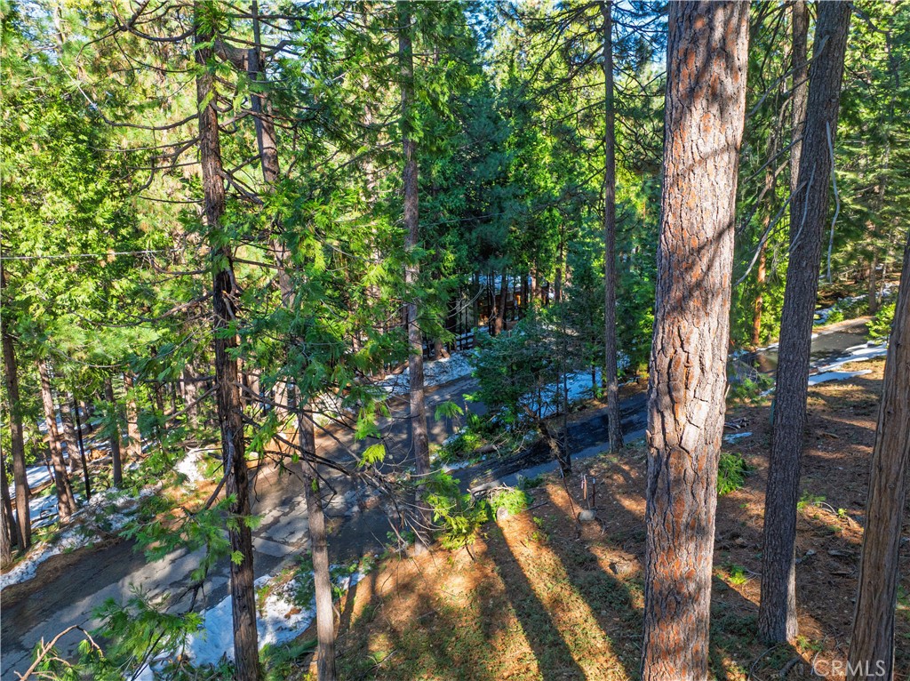 1803 Evergreen Property Photo 8