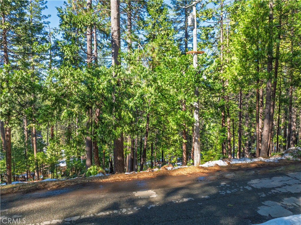 1803 Evergreen Property Photo 9