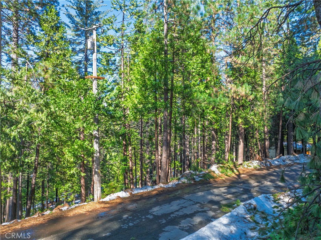 1803 Evergreen Property Photo 10