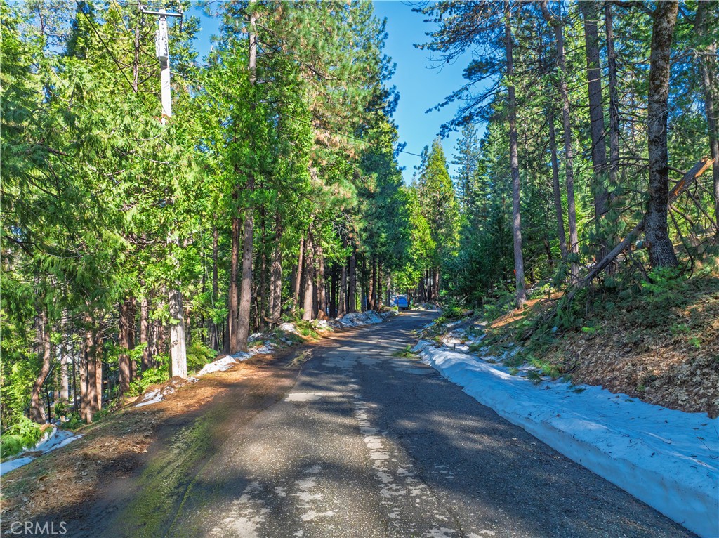 1803 Evergreen Property Photo 11