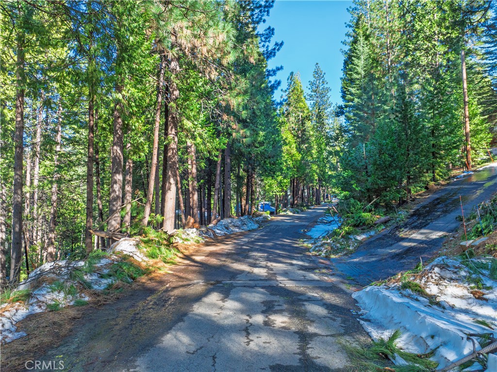 1803 Evergreen Property Photo 12